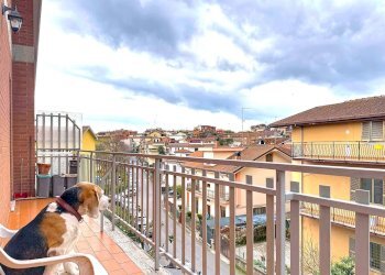 Foto 21 - Quadrilocale Via dello Stadio
 
38, Monterotondo - foto 21