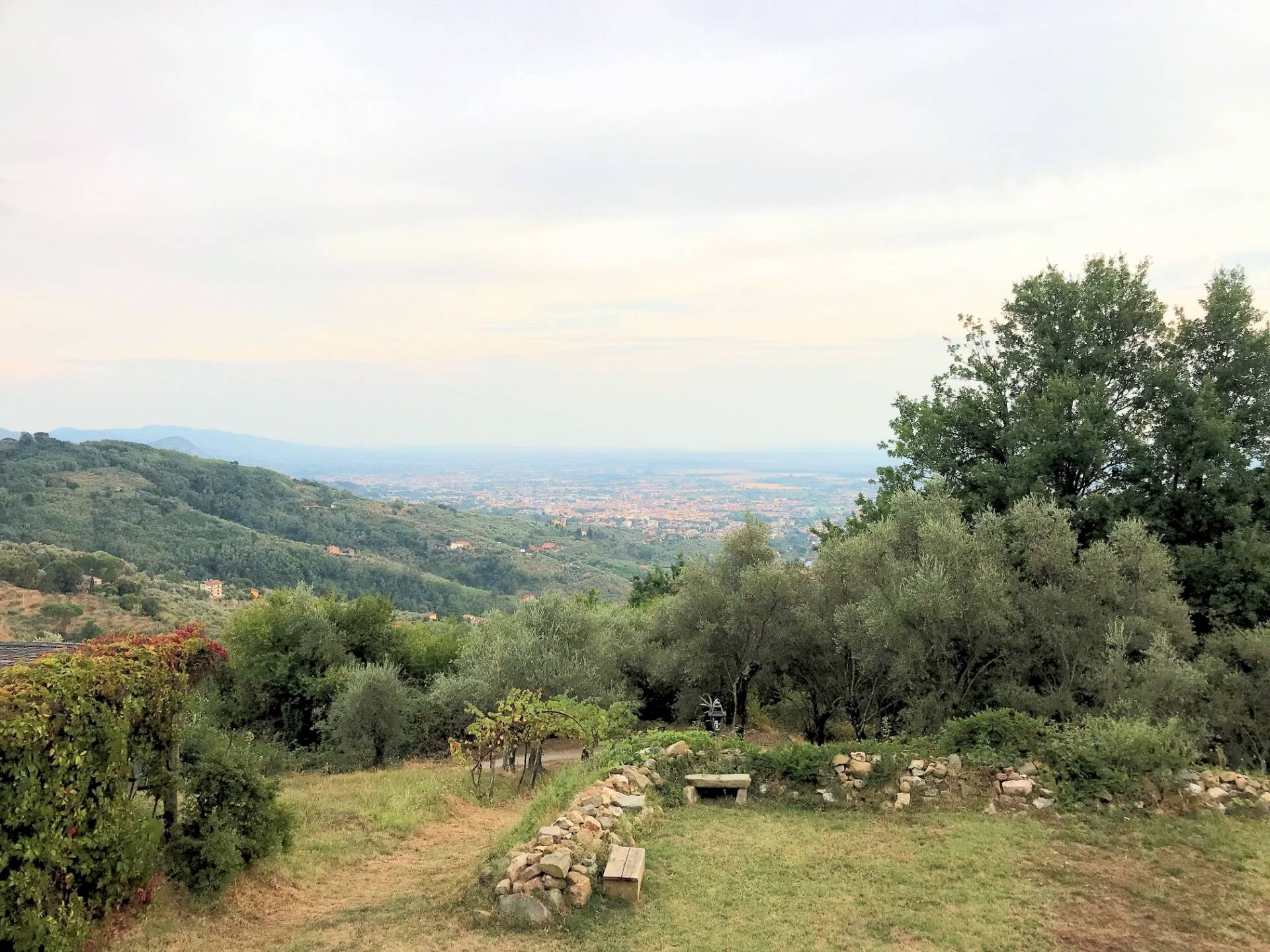 Foto 2 - Rustico Via Roma, Massa e Cozzile - foto 2