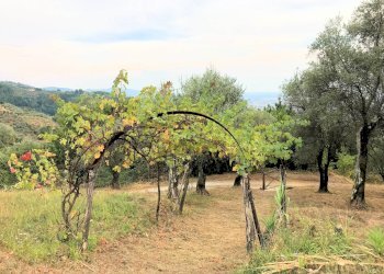 Foto 8 - Rustico Via Roma, Massa e Cozzile - foto 8