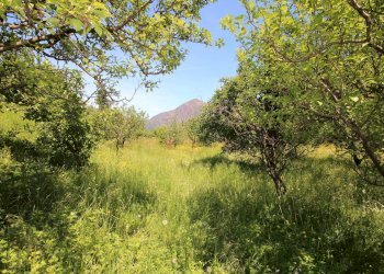 Foto 4 - Casa indipendente Via Madonna delle Grazie
 
63, Cannobio - foto 4