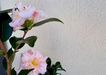 Foto 22 - Quadrilocale Lungomare Italia
 
50, Senigallia - foto 22