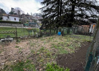 Giardino - Two-room apartment VIA A. BROGGI
 
5, Cantello - photo 24