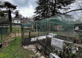 Giardino - Two-room apartment VIA A. BROGGI
 
5, Cantello - photo 25