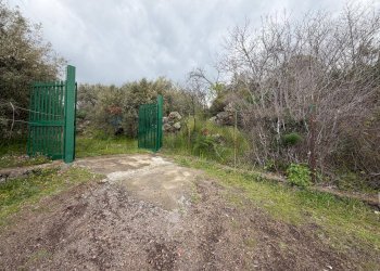 Giardino - Terreno agricolo Strada Iazzo Vecchio
 
snc, Santa Maria di Licodia - foto 17