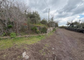 Giardino - Terreno agricolo Strada Iazzo Vecchio
 
snc, Santa Maria di Licodia - foto 18