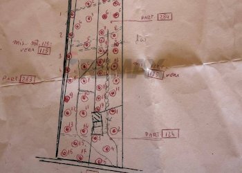 Pianta 2D - Terreno agricolo Strada Iazzo Vecchio
 
snc, Santa Maria di Licodia - foto 22