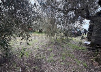 Giardino - Terreno agricolo Strada Iazzo Vecchio
 
snc, Santa Maria di Licodia - foto 25