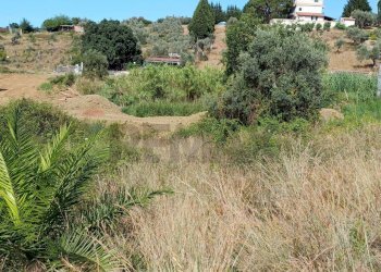 Giardino - Terreno edificabile Località Cucchiara Oliveto
 
snc, Acquedolci - foto 4