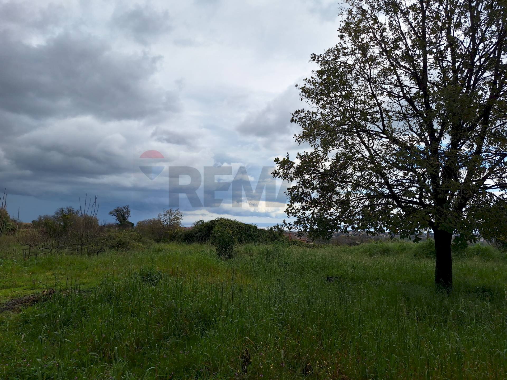 Giardino - Terreno agricolo Via Nino Bixio
 
37/E, Trecastagni - foto 3