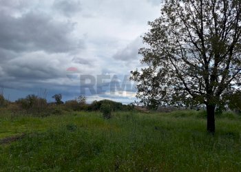 Giardino - Agricultural land Via Nino Bixio
37/E, Trecastagni - photo 3