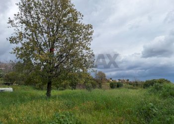 Giardino - Agricultural land Via Nino Bixio
37/E, Trecastagni - photo 4