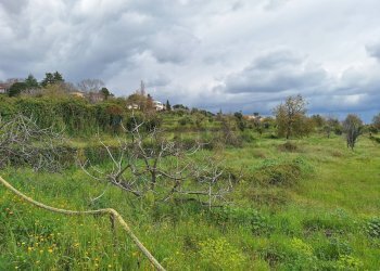 Giardino - Agricultural land Via Nino Bixio
37/E, Trecastagni - photo 5