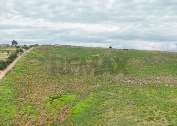 Giardino - Terreno edificabile Strada Galerno
500, Lentini - foto 14