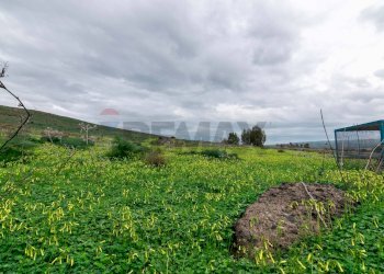 Giardino - Terreno edificabile Strada Galerno
500, Lentini - foto 32