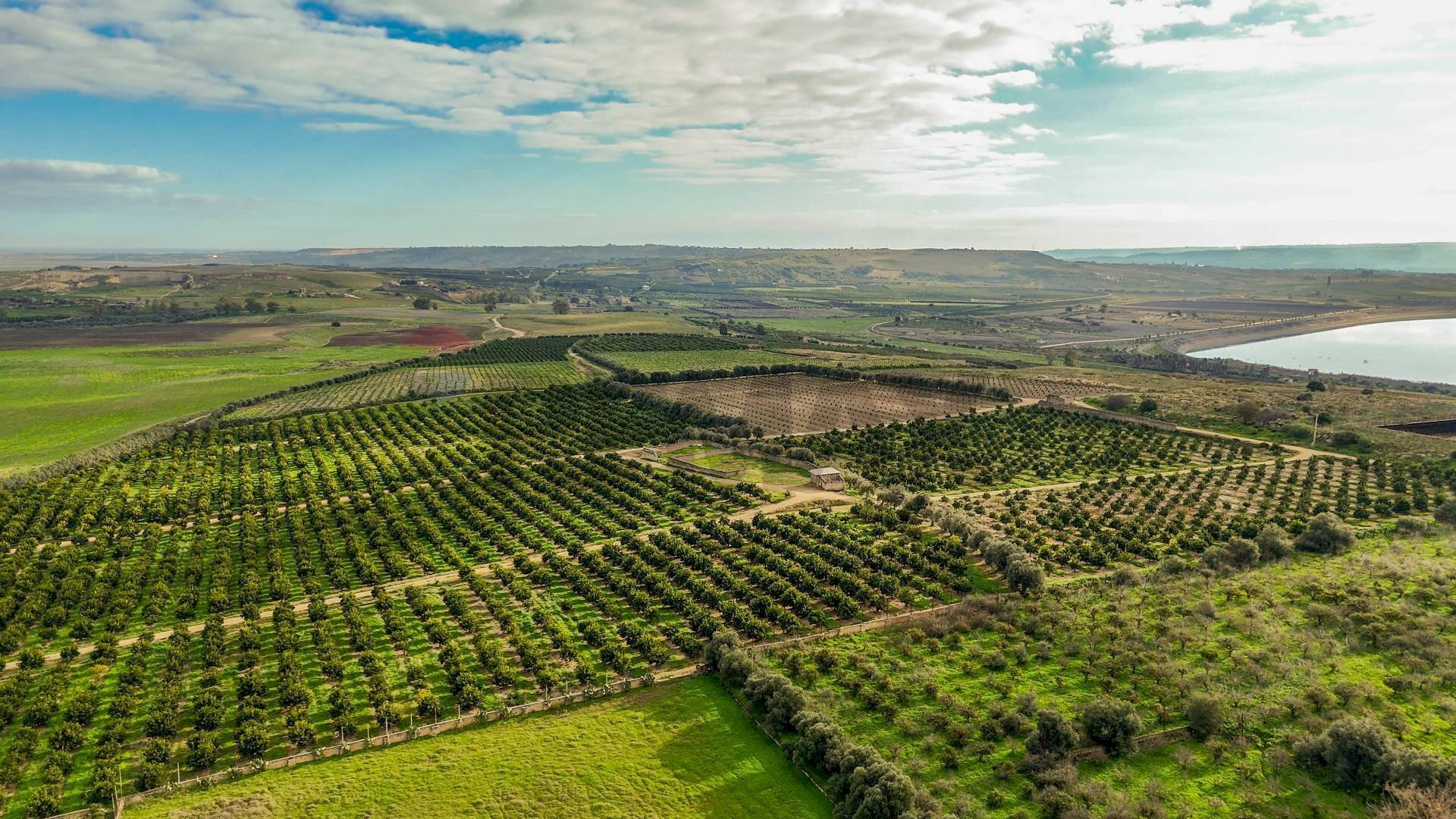 Vista delle montagne - Agricultural land Strada Galerno
 
500, Lentini - photo 1