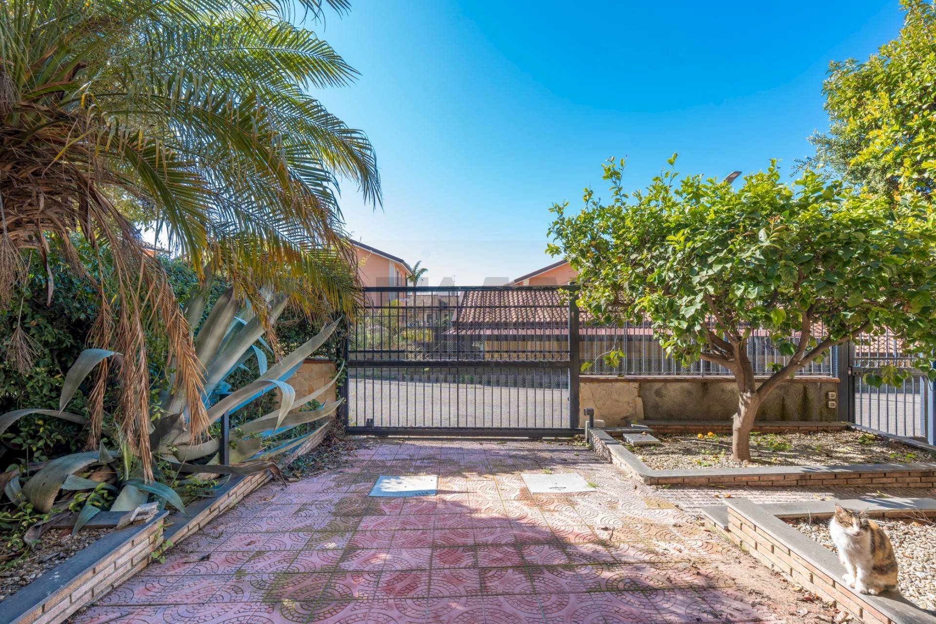 Terrazza - Casa semi indipendente Via Enrico Berlinguer
5, Trecastagni - foto 3