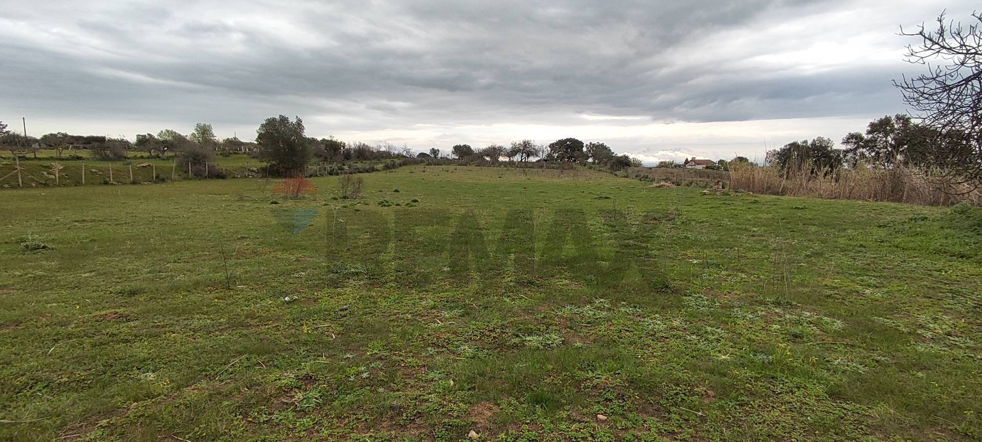 Giardino - Terreno agricolo CONTRADA PIANO EVOLI
 
sn, Caltagirone - foto 2
