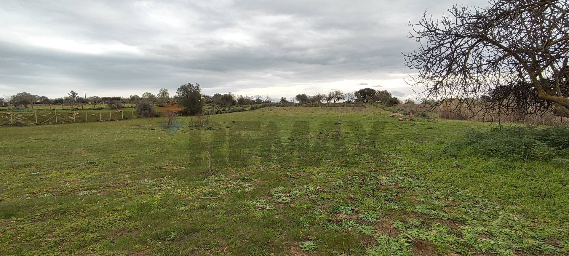 Giardino - Terreno agricolo CONTRADA PIANO EVOLI
 
sn, Caltagirone - foto 3