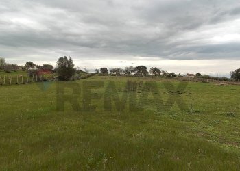 Giardino - Terreno agricolo CONTRADA PIANO EVOLI
 
sn, Caltagirone - foto 1