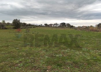 Giardino - Terreno agricolo CONTRADA PIANO EVOLI
 
sn, Caltagirone - foto 2