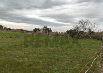 Giardino - Terreno agricolo CONTRADA PIANO EVOLI
 
sn, Caltagirone - foto 4