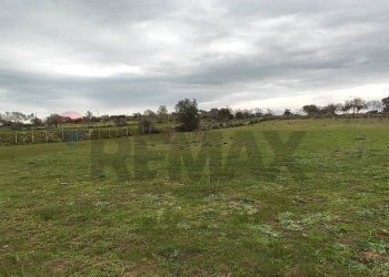 Giardino - Terreno agricolo CONTRADA PIANO EVOLI
 
sn, Caltagirone - foto 8
