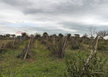 Vista delle montagne - Terreno agricolo CONTRADA PIANO EVOLI
 
sn, Caltagirone - foto 10