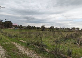 Giardino - Terreno agricolo CONTRADA PIANO EVOLI
 
sn, Caltagirone - foto 11