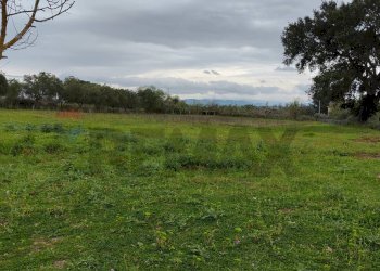 Giardino - Terreno agricolo CONTRADA PIANO EVOLI
 
sn, Caltagirone - foto 13
