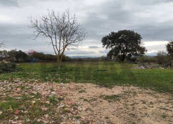 Giardino - Terreno agricolo CONTRADA PIANO EVOLI
 
sn, Caltagirone - foto 16