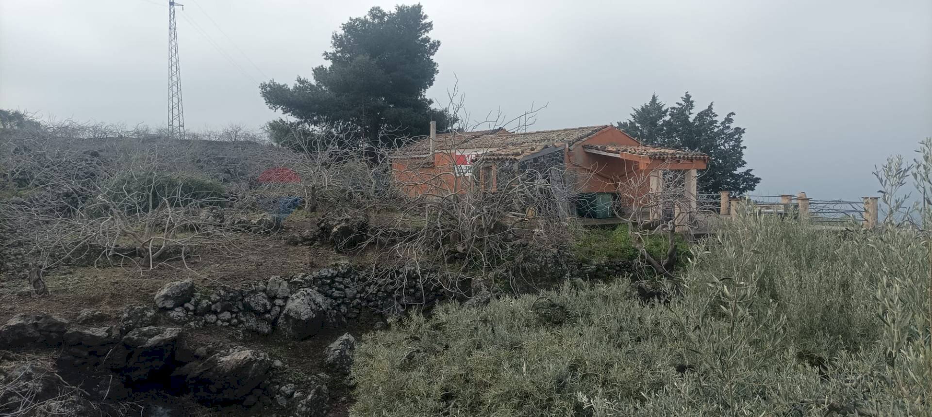 Non correlato - Villa SS 284, Bronte - foto 1