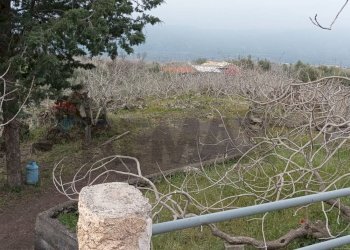 Non correlato - Villa SS 284, Bronte - foto 15