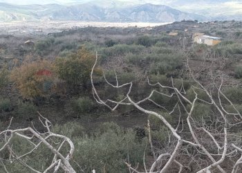 Vista delle montagne - Villa SS 284, Bronte - foto 50