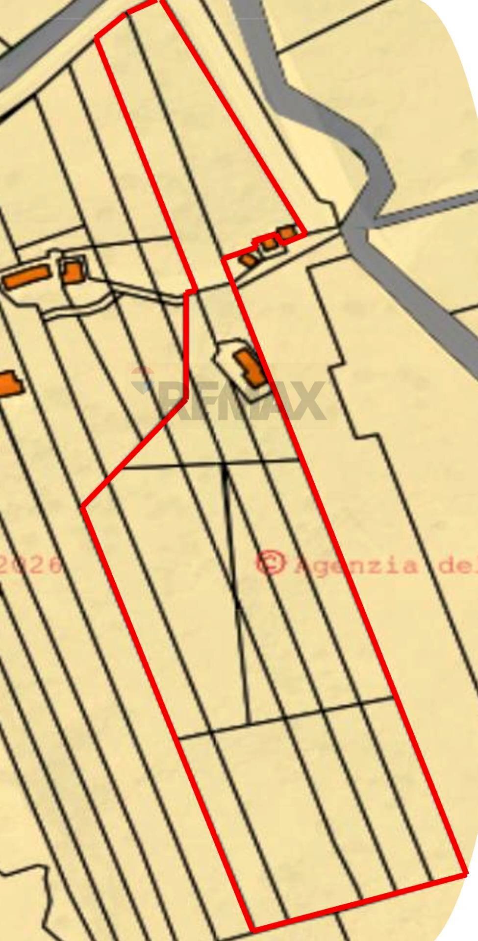 Pianta 2D - Terreno agricolo Contrada Rizzonito, Bronte - foto 3