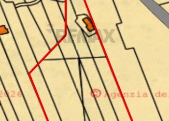 Pianta 2D - Terreno agricolo Contrada Rizzonito, Bronte - foto 3