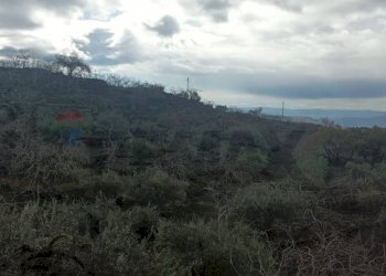 Vista delle montagne - Terreno agricolo Contrada Rizzonito, Bronte - foto 5