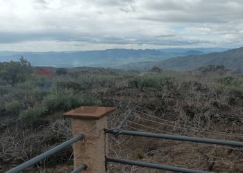 Vista delle montagne - Terreno agricolo Contrada Rizzonito, Bronte - foto 6