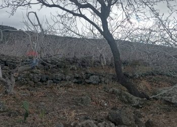 Vista delle montagne - Terreno agricolo Contrada Rizzonito, Bronte - foto 11