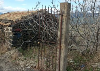 Vista delle montagne - Terreno agricolo Contrada Rizzonito, Bronte - foto 15