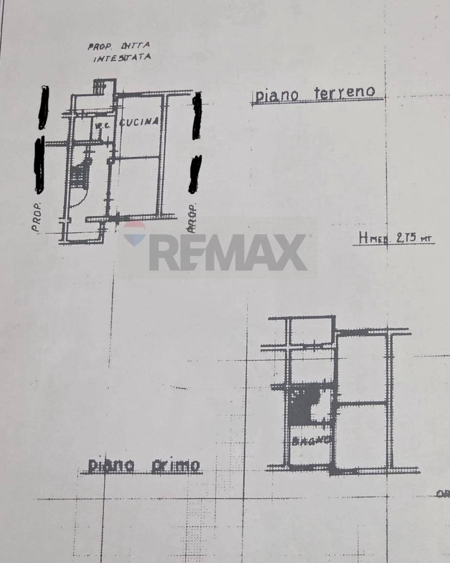Pianta 2D - Casa indipendente Montescudaio - planimetria 1