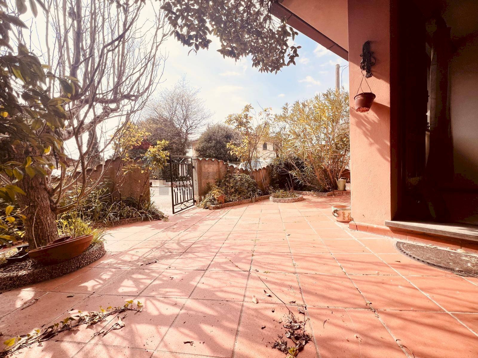 Terrazza - Independent house Montescudaio - photo 1