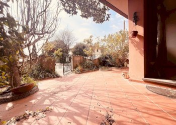 Terrazza - Casa indipendente Montescudaio - foto 1