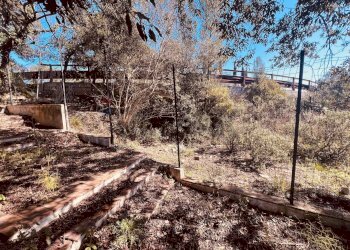 Giardino - Stabile - Palazzo Rosignano Marittimo - foto 7