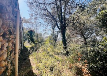 Non correlato - Stabile - Palazzo Rosignano Marittimo - foto 14