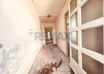 Hall / corridoio - Stabile - Palazzo Rosignano Marittimo - foto 15