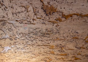 Dettagli - Villa a Schiera Via Gherli
 
4, Guastalla - foto 81