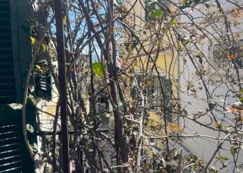 Edificio all\'aperto - Three-room apartment Via Dottor Venanzio Marone
 
23, Lacco Ameno - photo 21