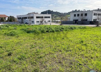 Giardino - Terreno edificabile Ripa Teatina - foto 4