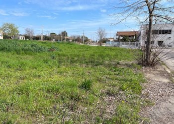 Giardino - Terreno edificabile Ripa Teatina - foto 7