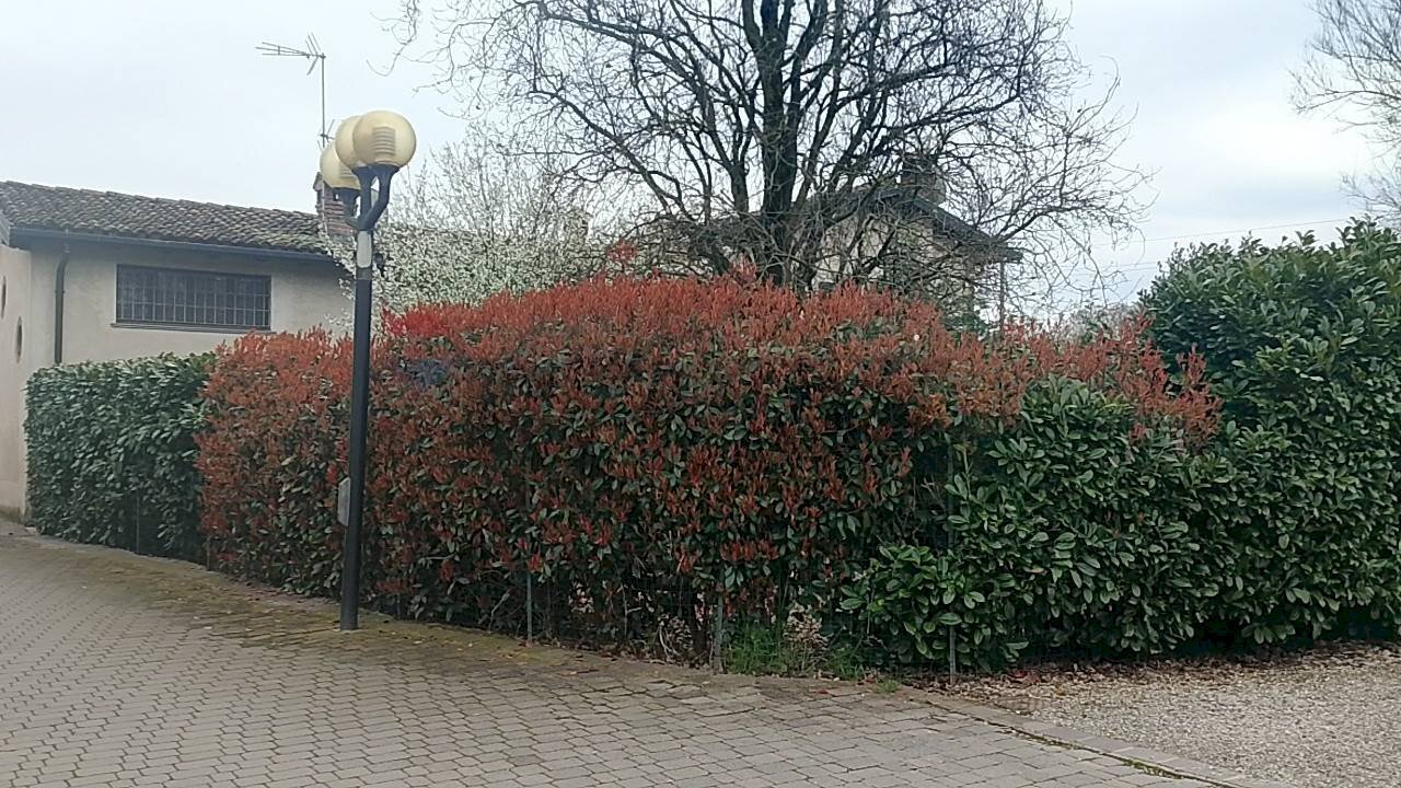 Giardino - Villa a Schiera Via Camillo aschieri
 
40, Pavia - foto 2